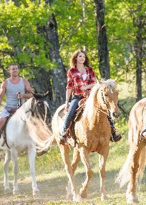 Spruce Hill & Lodge 108 Mile Ranch