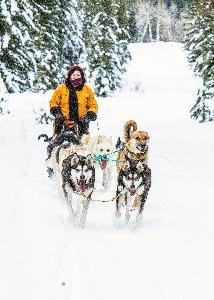 Lodge Spruce Hill &