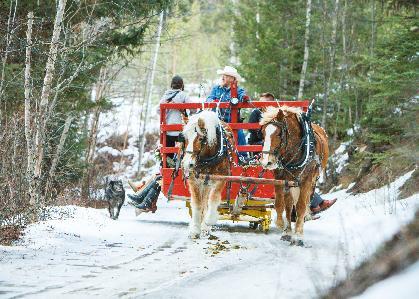 Spruce Hill &