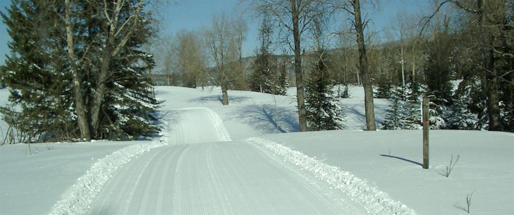 Lodge Spruce Hill &